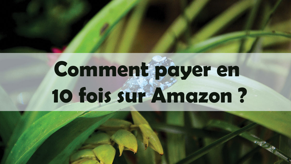 Comment payer en 10 fois sur Amazon ? Quelssont.fr