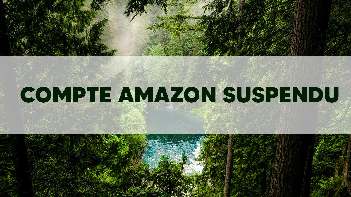 Compte Amazon suspendu :  Les raisons et comment débloquer son compte