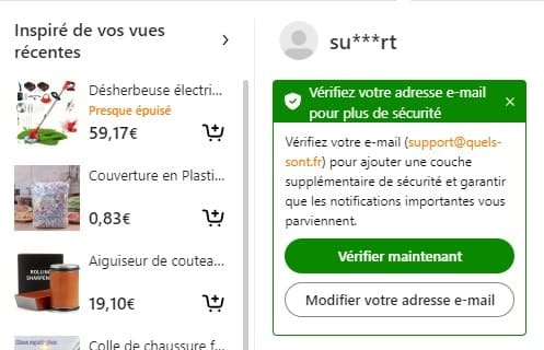 Vérifier adresse mail Temu